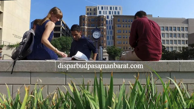 Jurusan Terbaik di Universitas Washington di Eropa